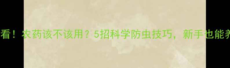 图片 🌟金桔种植必看！农药该不该用？5招科学防虫技巧，新手也能养出爆满果🌟2