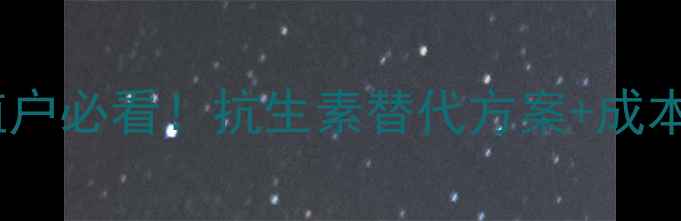 图片 🌟饲料禁抗政策深度解读养殖户必看！抗生素替代方案+成本控制全攻略（附真实案例）1