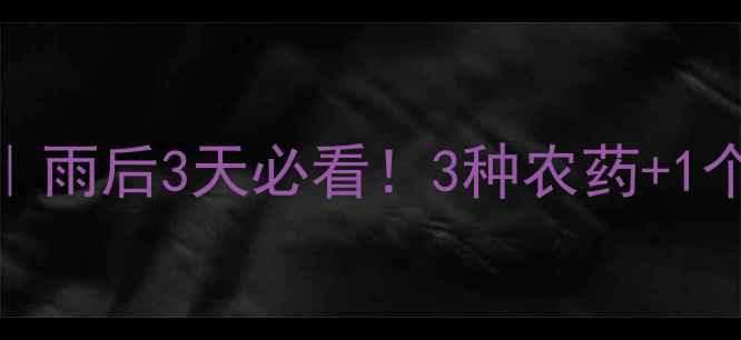 图片 🌧️冬瓜雨后管理指南｜雨后3天必看！3种农药+1个技巧，病害防治不踩坑