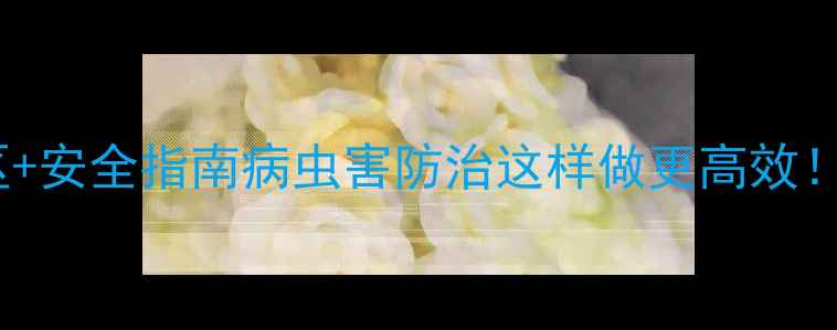 图片 🌱3大农药使用误区+安全指南病虫害防治这样做更高效！新手必看避坑攻略