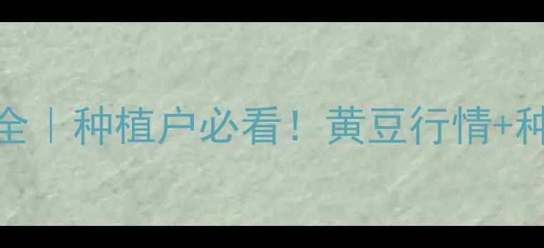 图片 🌱8月安徽黄豆价格全｜种植户必看！黄豆行情+种植技巧+市场趋势💰