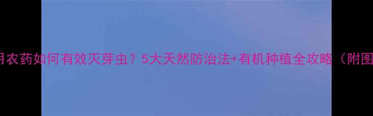 图片 🌱不用农药如何有效灭芽虫？5大天然防治法+有机种植全攻略（附图解）2