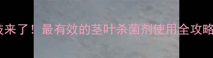 图片 🌱农药界的黑科技来了！最有效的茎叶杀菌剂使用全攻略（附真实案例）2