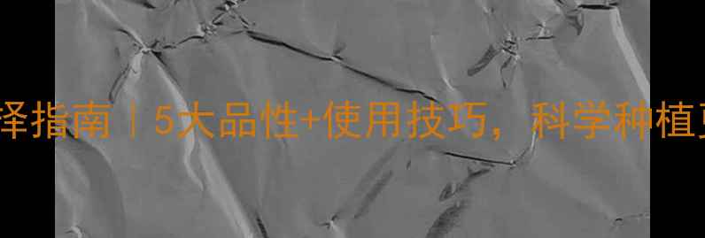 图片 🌱农药选择指南｜5大品性+使用技巧，科学种植更安全！2