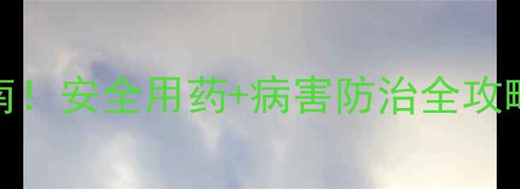 图片 🌱吡噻菌胺高效防病指南！安全用药+病害防治全攻略，助您种出健康crop🌱