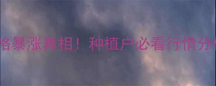 图片 🌱国内豆柏价格暴涨真相！种植户必看行情分析及市场内幕1