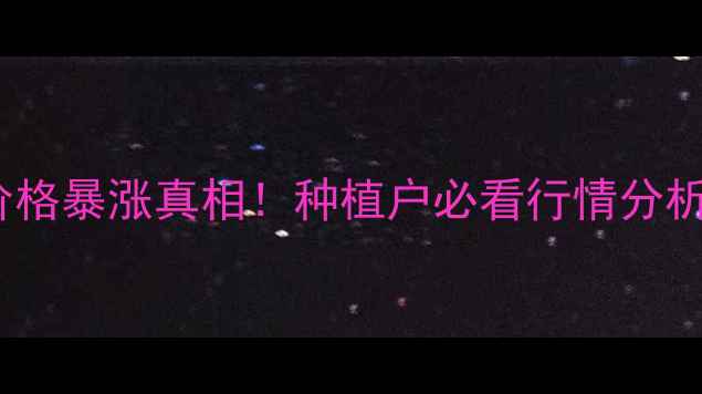 图片 🌱国内豆柏价格暴涨真相！种植户必看行情分析及市场内幕2