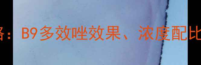 图片 🌱多效唑使用全攻略：B9多效唑效果、浓度配比及安全操作指南🌱2