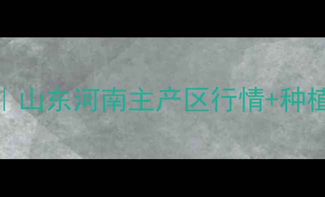 图片 🌱大蒜价格波动全｜山东河南主产区行情+种植户必看避坑指南📈