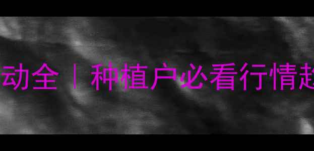 图片 🌱大豆油价格波动全｜种植户必看行情趋势+避坑指南💰