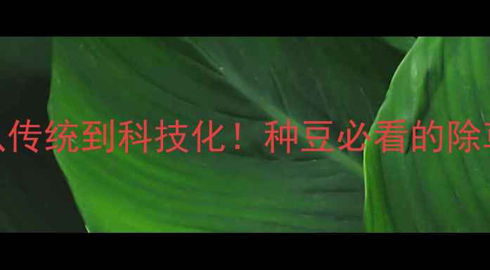 图片 🌱大豆田除草剂发展史全从传统到科技化！种豆必看的除草剂使用指南（附配方表）