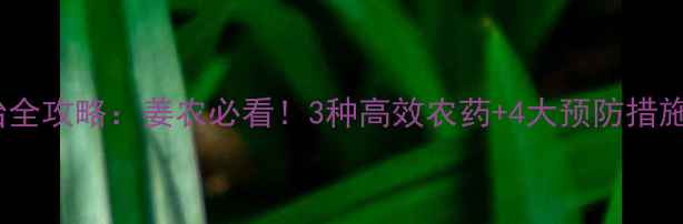 图片 🌱姜瘟病农药防治全攻略：姜农必看！3种高效农药+4大预防措施，助你稳产增收2