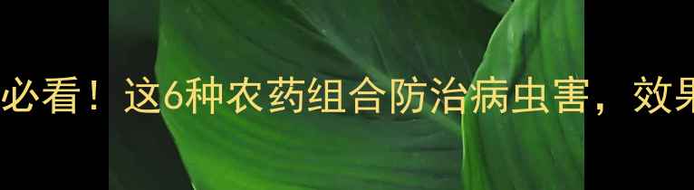 图片 🌱山药种植必看！这6种农药组合防治病虫害，效果翻倍💪🌱1