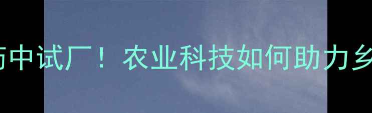 图片 🌱廊坊农药中试厂！农业科技如何助力乡村振兴？2