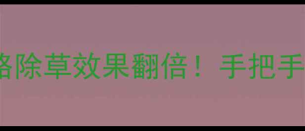 图片 🌱恶草迪农药使用全攻略除草效果翻倍！手把手教你避坑，新手必看！1