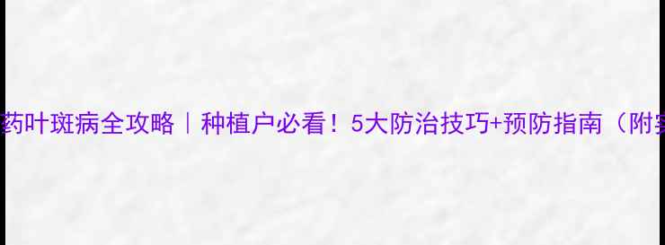 图片 🌱有机农药叶斑病全攻略｜种植户必看！5大防治技巧+预防指南（附实拍图）2