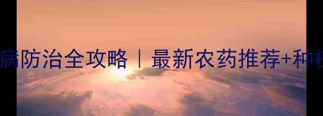 图片 🌱柑橘溃疡病防治全攻略｜最新农药推荐+种植避坑指南1