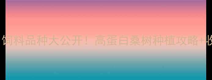 图片 🌱桑叶蛋白饲料品种大公开！高蛋白桑树种植攻略+收益分析🌾2