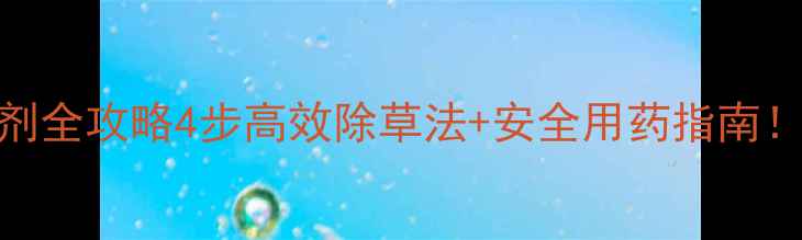 图片 🌱桔梗田除草剂全攻略4步高效除草法+安全用药指南！新手必看！🌾