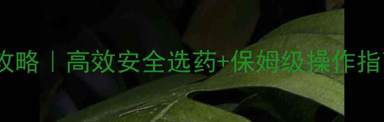 图片 🌱棉花田除草剂使用全攻略｜高效安全选药+保姆级操作指南（附推荐产品清单）1