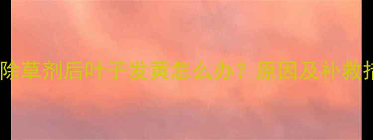 图片 🌱油菜除草剂后叶子发黄怎么办？原因及补救措施全2