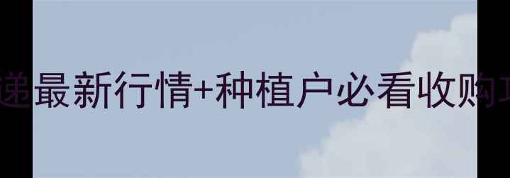 图片 🌱沿淮大豆价格波动速递最新行情+种植户必看收购攻略！附今日价格表🌾2