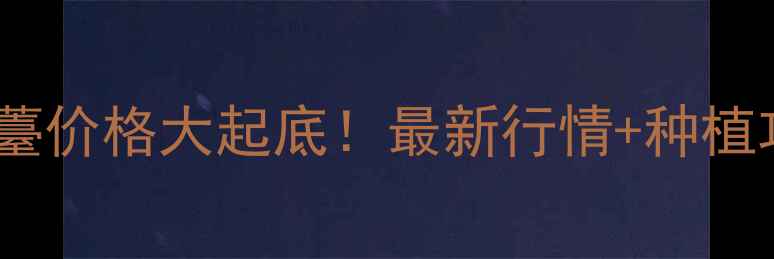 图片 🌱济南商河蒜薹价格大起底！最新行情+种植攻略全公开💰1