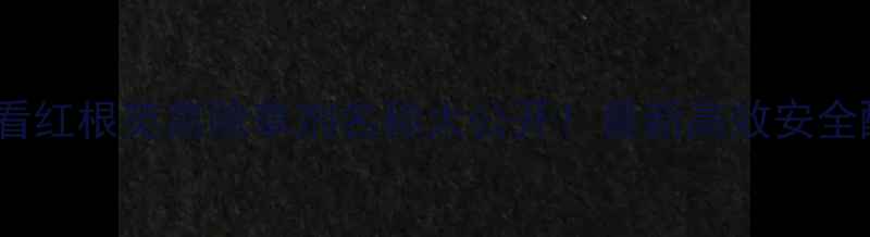 图片 🌱湖南种植户必看红根苋菜除草剂名称大公开！最新高效安全配方+使用全攻略