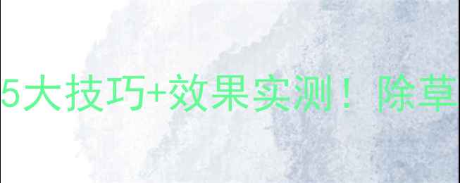 图片 🌱滨农除草剂使用全攻略5大技巧+效果实测！除草效率翻倍的秘密大公开！