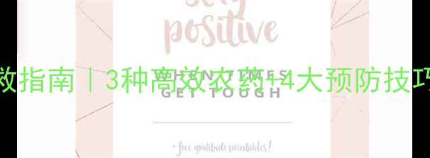 图片 🌱甜瓜白粉病急救指南｜3种高效农药+4大预防技巧，助你瓜香满园