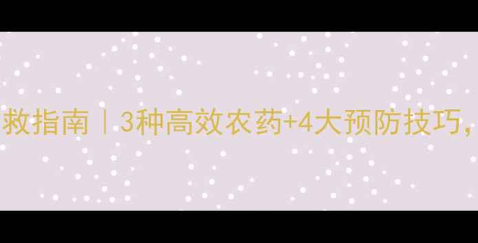 图片 🌱甜瓜白粉病急救指南｜3种高效农药+4大预防技巧，助你瓜香满园2