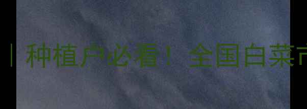 图片 🌱白菜价格走势分析｜种植户必看！全国白菜市场动态与应对策略2