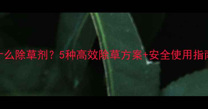 图片 🌱绿豆苗后用什么除草剂？5种高效除草方案+安全使用指南（附配比）🌱