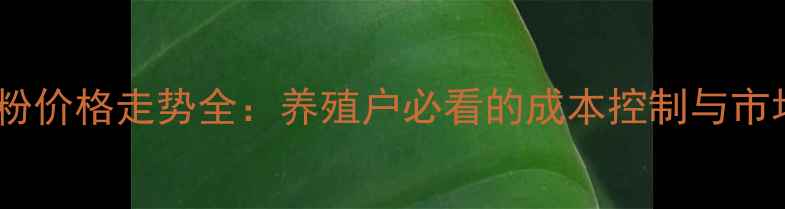 图片 🌱羽毛粉价格走势全：养殖户必看的成本控制与市场机会1