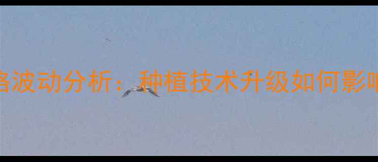 图片 🌱老醋花生价格波动分析：种植技术升级如何影响市场供需？🌾