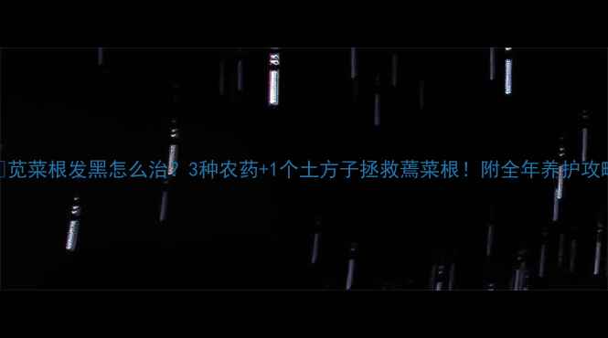 图片 🌱苋菜根发黑怎么治？3种农药+1个土方子拯救蔫菜根！附全年养护攻略