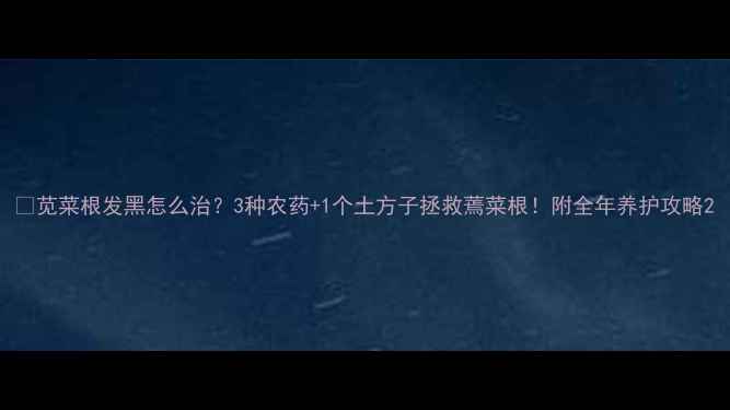 图片 🌱苋菜根发黑怎么治？3种农药+1个土方子拯救蔫菜根！附全年养护攻略2