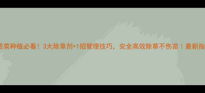 图片 🌱苦菜种植必看！3大除草剂+1招管理技巧，安全高效除草不伤苗｜最新指南1