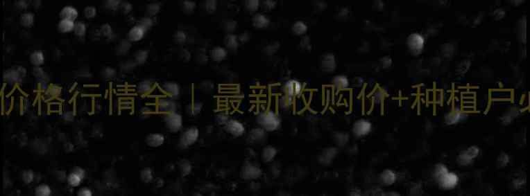 图片 🌱蚌埠市大豆价格行情全｜最新收购价+种植户必看趋势预测2