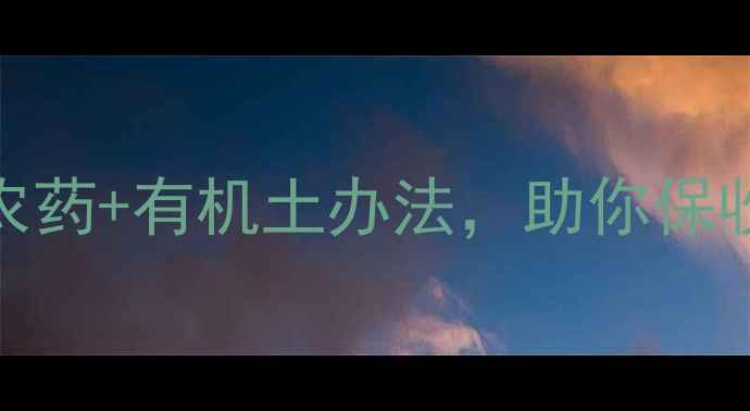 图片 🌱西瓜枯萎病克星！3款农药+有机土办法，助你保收成（附详细防治指南）1