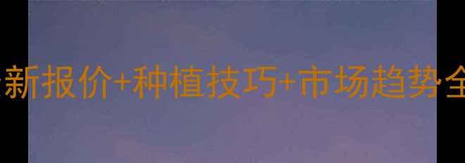 图片 🌱豆柏价格今日行情全国最新报价+种植技巧+市场趋势全指南（附种植补贴政策）1