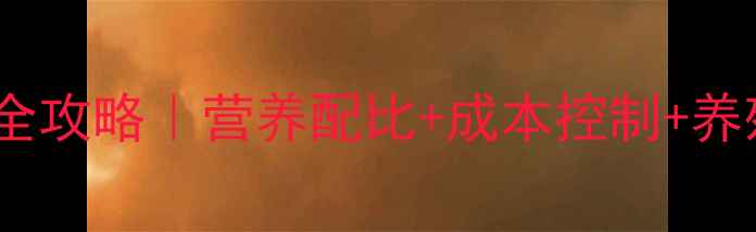 图片 🌱进口大豆饲料养猪全攻略｜营养配比+成本控制+养殖户亲测经验大公开2