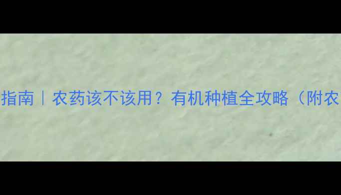 图片 🌱黄秋葵安全种植指南｜农药该不该用？有机种植全攻略（附农药残留自测方法）