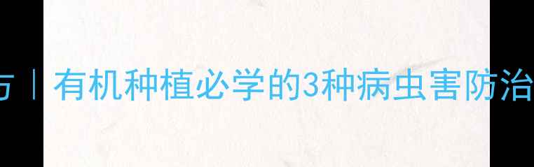 图片 🌱黄豆粉天然农药配方｜有机种植必学的3种病虫害防治方法（附详细教程）2