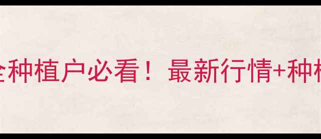 图片 🌱黑龙江大豆价格全种植户必看！最新行情+种植技巧+市场预测📊1