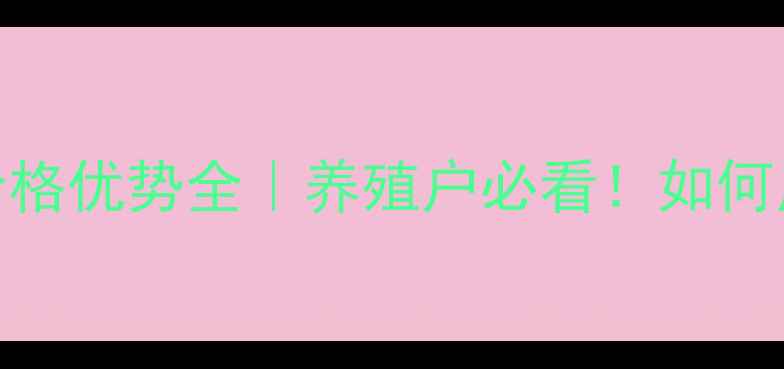图片 🌱🐔绵阳金太阳饲料价格优势全｜养殖户必看！如何用科学配方降本增效？
