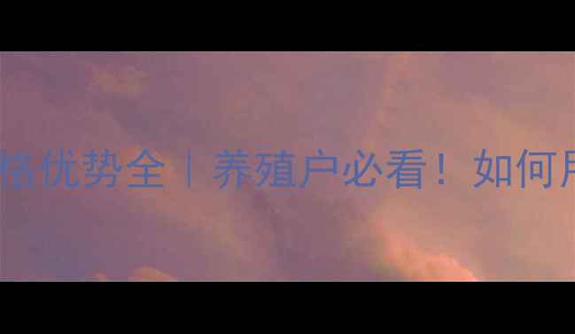 图片 🌱🐔绵阳金太阳饲料价格优势全｜养殖户必看！如何用科学配方降本增效？1