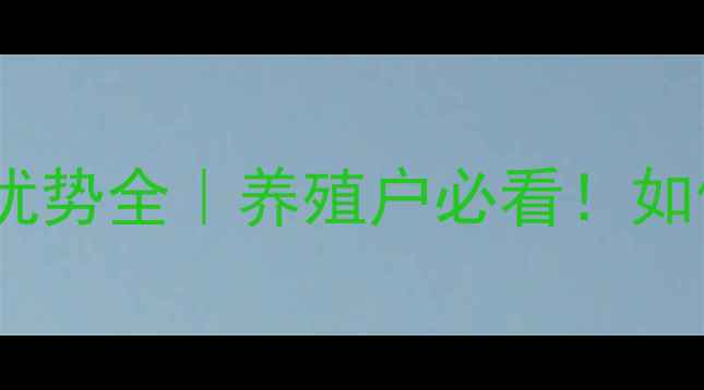 图片 🌱🐔绵阳金太阳饲料价格优势全｜养殖户必看！如何用科学配方降本增效？2
