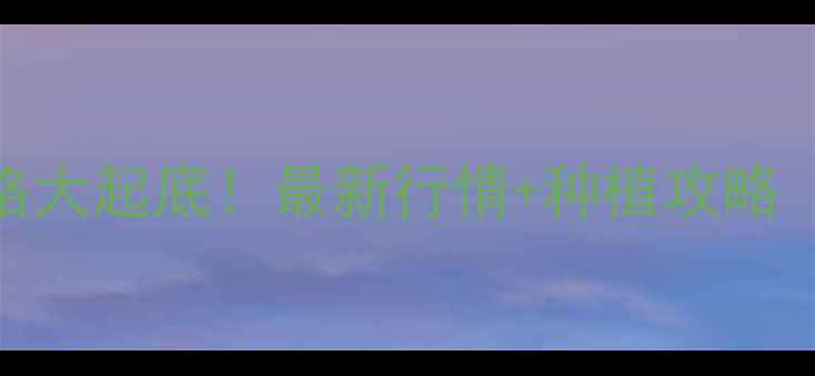 图片 🌽云南玉米价格大起底！最新行情+种植攻略（附详细数据）