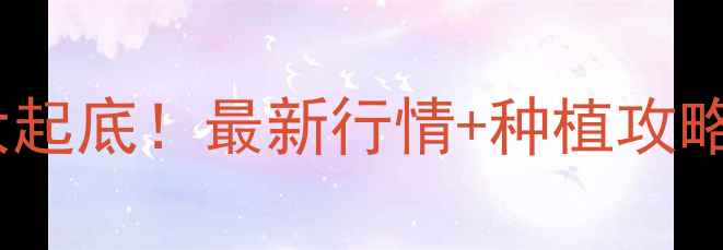 图片 🌽云南玉米价格大起底！最新行情+种植攻略（附详细数据）1